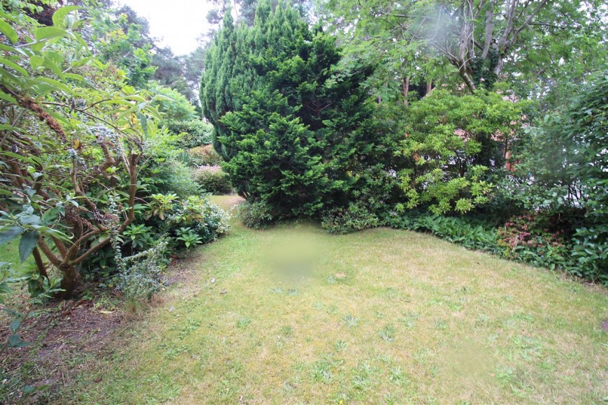 Woodpecker Close, Bordon